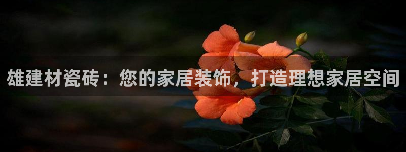 杏鑫官网注册账号怎么注册