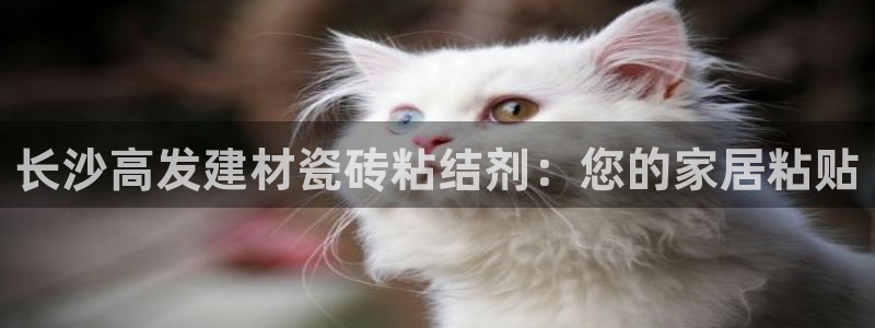 杏鑫娱乐官网登录