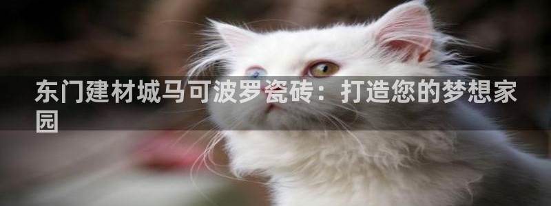 杏鑫官方平台怎么样啊可靠吗