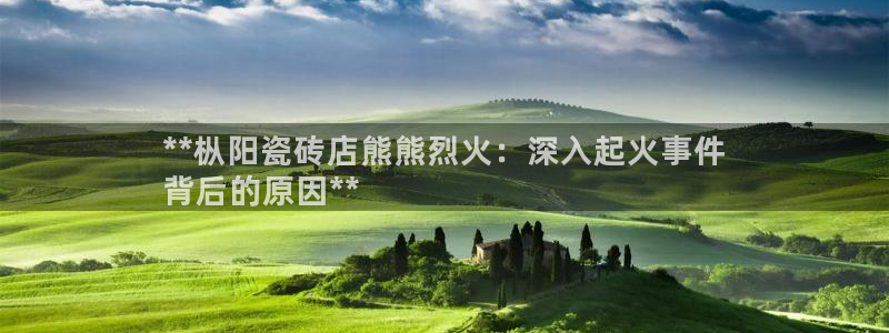 杏鑫平台平台