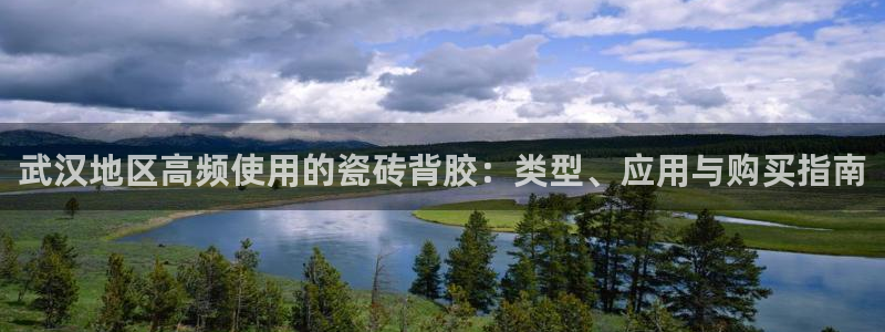 杏鑫平台登录注册