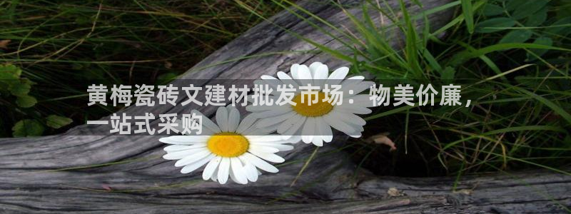 杏鑫平台招商怎么样