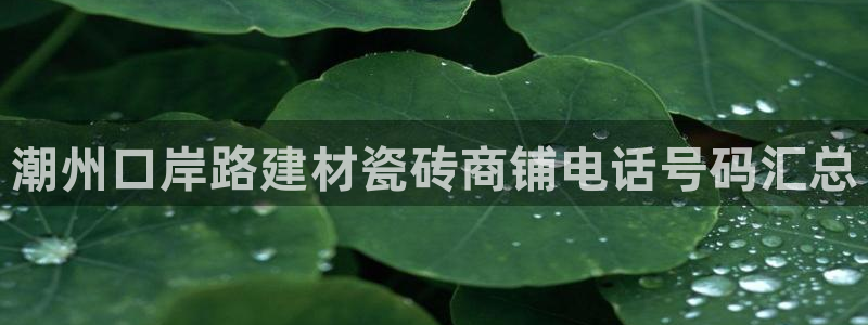 杏鑫平台怎么样知乎