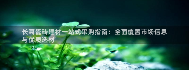 杏鑫娱乐负责人