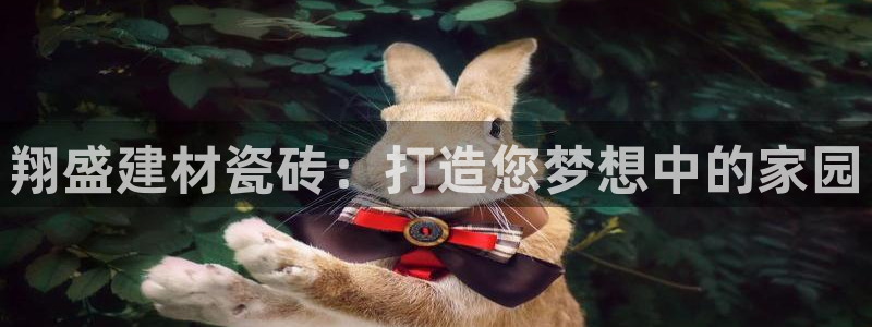 杏鑫官网最新信息新闻