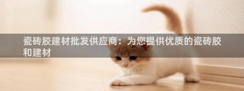 杏鑫主管
