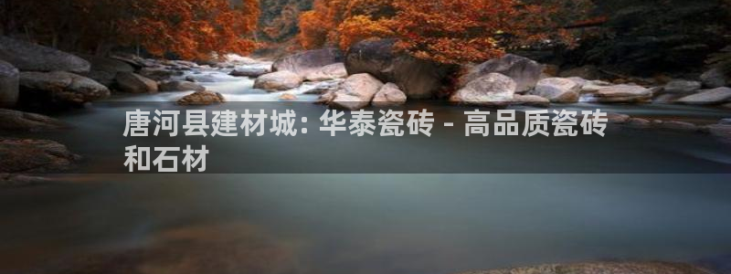 杏鑫平台代理注册流程