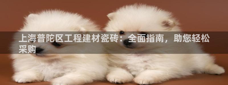 杏鑫代理注册