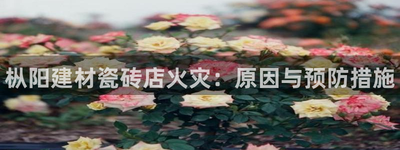 杏鑫娱乐官网下载