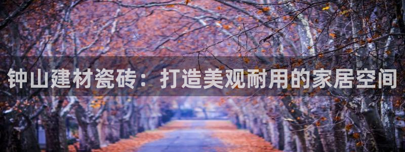 杏鑫手机客户端
