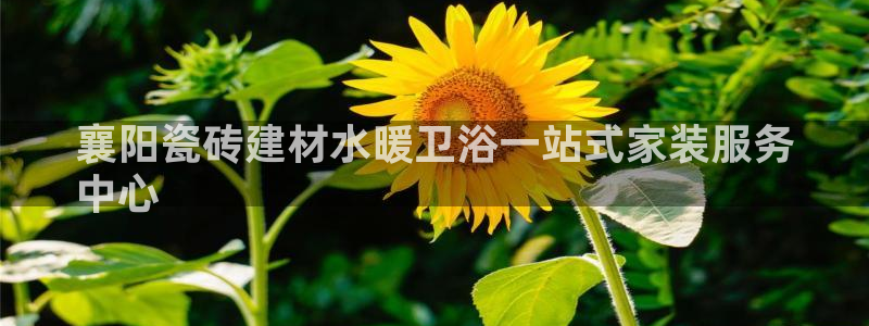杏鑫平台招商怎么样可靠吗