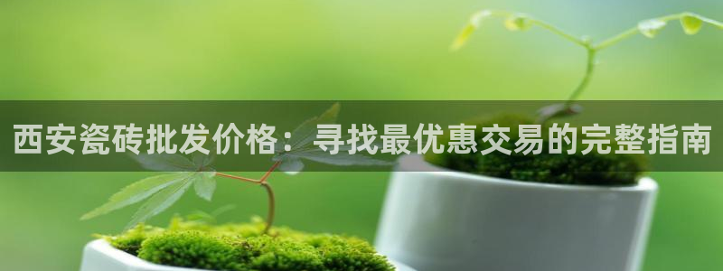 杏鑫官网最新信息