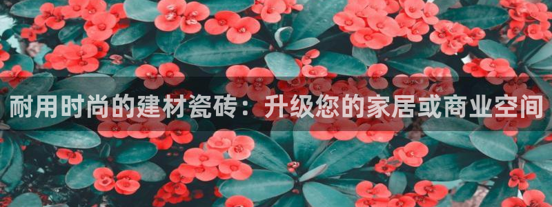 杏鑫官网注册账号密码是多少