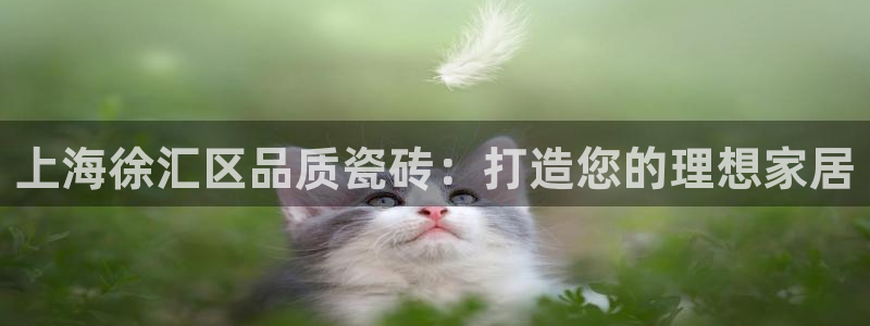杏鑫注册