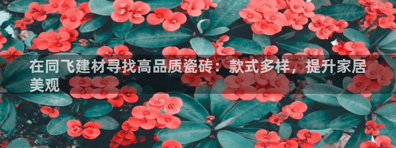 杏鑫有亏损返点吗