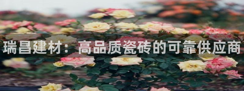 杏鑫娱乐平台测速怎么样