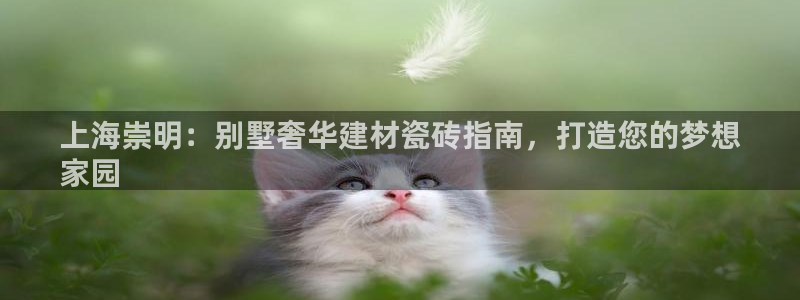 杏鑫平台是黑平台吗是真的吗