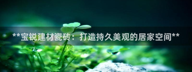 杏鑫平台代理怎么样啊
