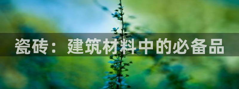 杏鑫娱乐负责人