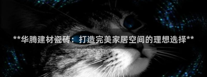 杏鑫平台广7O777