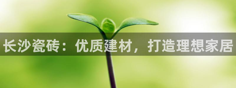 杏鑫注册登录平台是什么