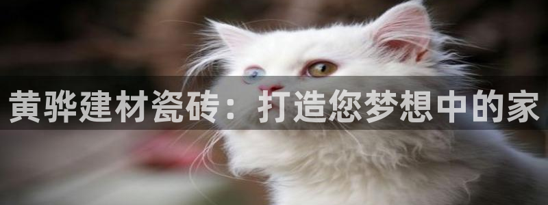 杏鑫平台注册网址是多少