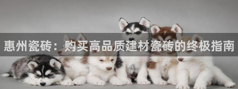 杏鑫官网注册账号密码