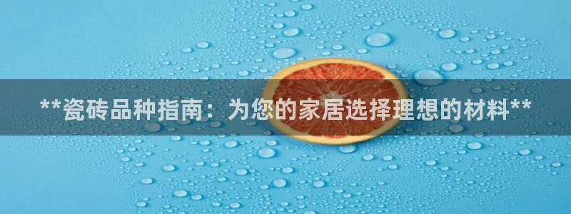 杏鑫平台代理注册流程