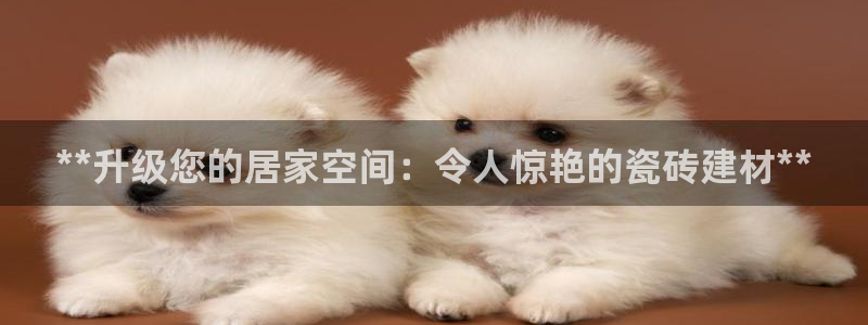 杏鑫平台招商电话号码