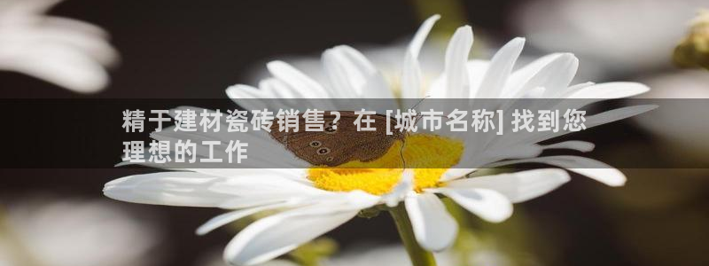 杏鑫平台怎么样黑钱吗安全吗