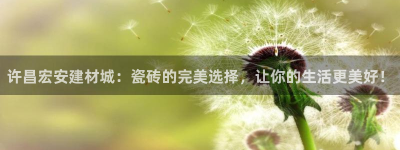 杏鑫官方平台怎么样