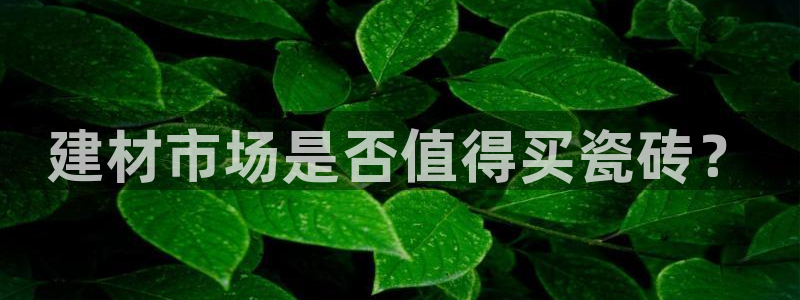杏鑫官网最新信息