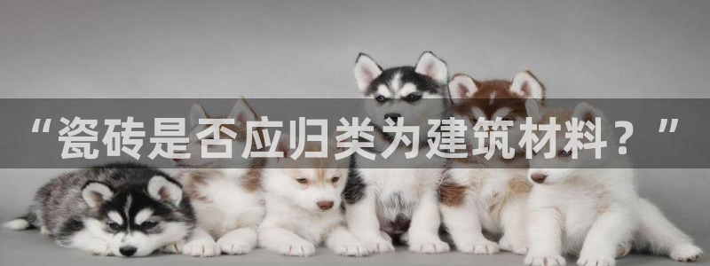 杏鑫官网最新信息