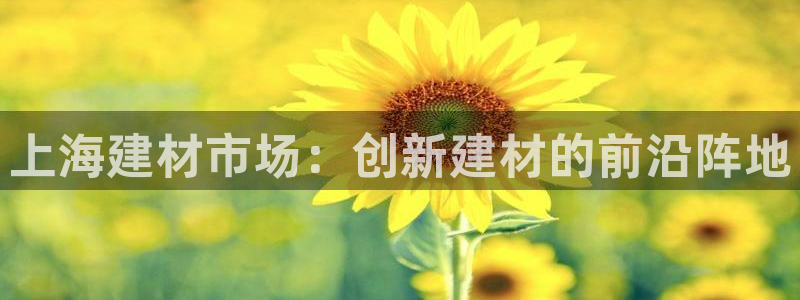 杏鑫平台代理注册多少钱一年