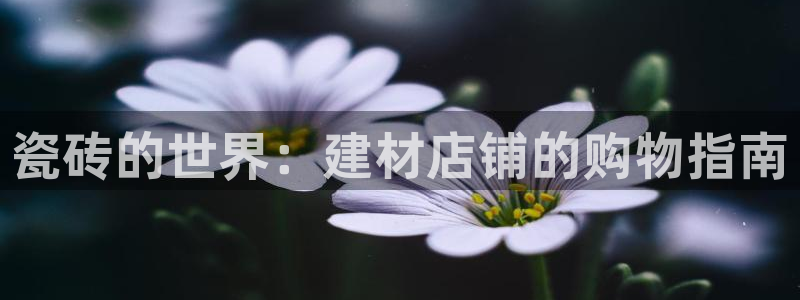 杏鑫有亏损返点吗