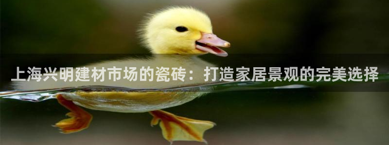 杏鑫平台代理怎么样啊