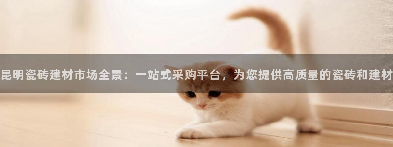 杏鑫手机客户端怎么下载