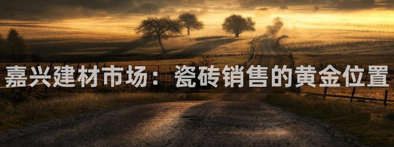 杏鑫有亏损返点吗