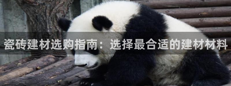 杏鑫平台招商怎么样啊