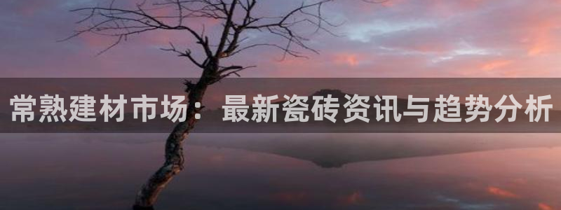 杏鑫平台注册登录