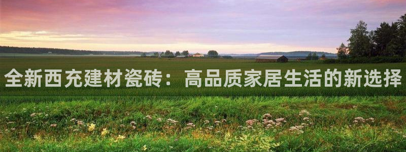 杏鑫平台野马联盟怎么样