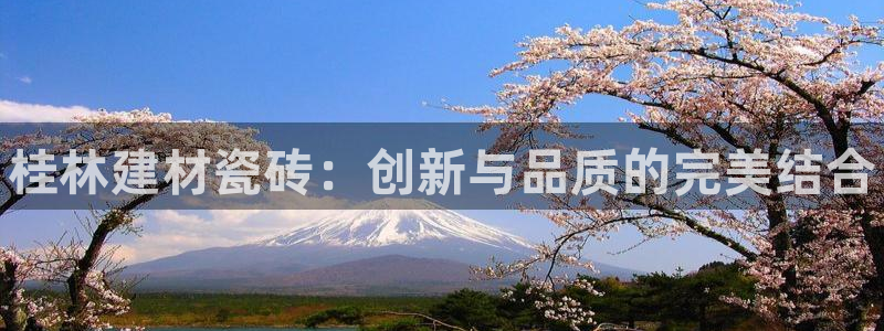 杏鑫娱乐平台登录