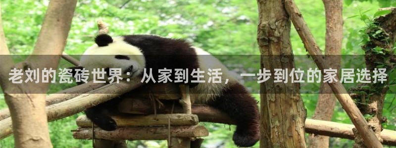 杏鑫平台怎么样黑钱吗是真的吗吗