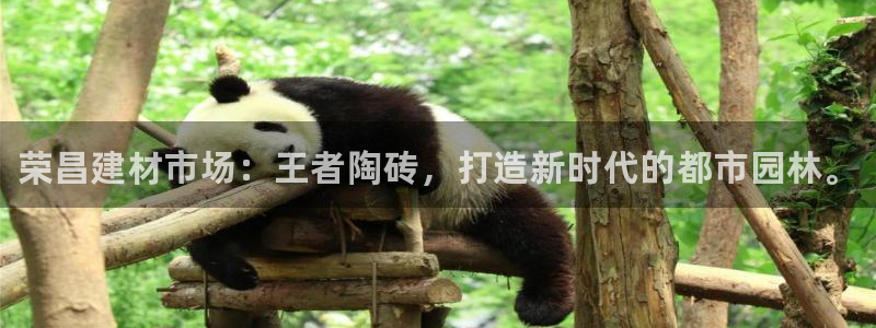 杏鑫平台招商电话是多少