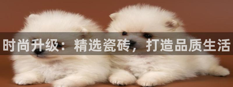 杏鑫平台靠谱吗