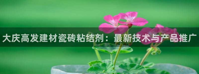 杏鑫官网注册账号怎么注册不了