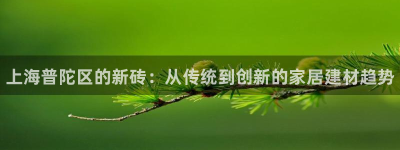 杏鑫平台代理注册多少钱一个