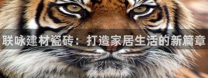 杏鑫注册平台官方网站是什么