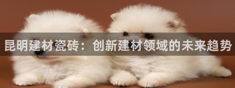 杏鑫平台代理怎么样赚钱