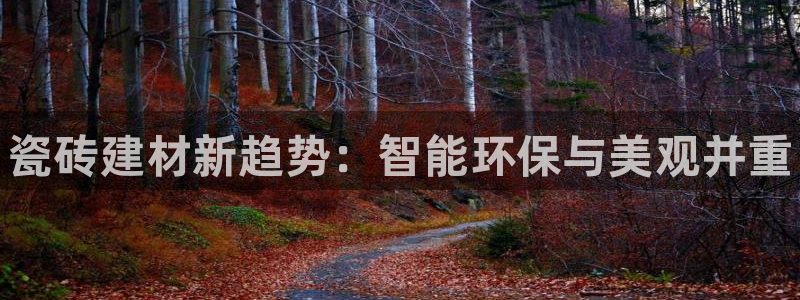 杏鑫平台登录注册